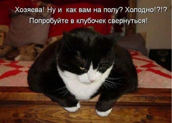    - 17  2021  12:15