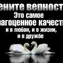 ���� ��������, ������ - ��������� 30 ���� 2021 � ������ ������ ��������