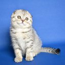  Elena....,  -  13  2021    