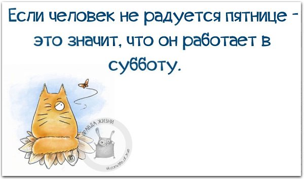   - 15  2021  04:04