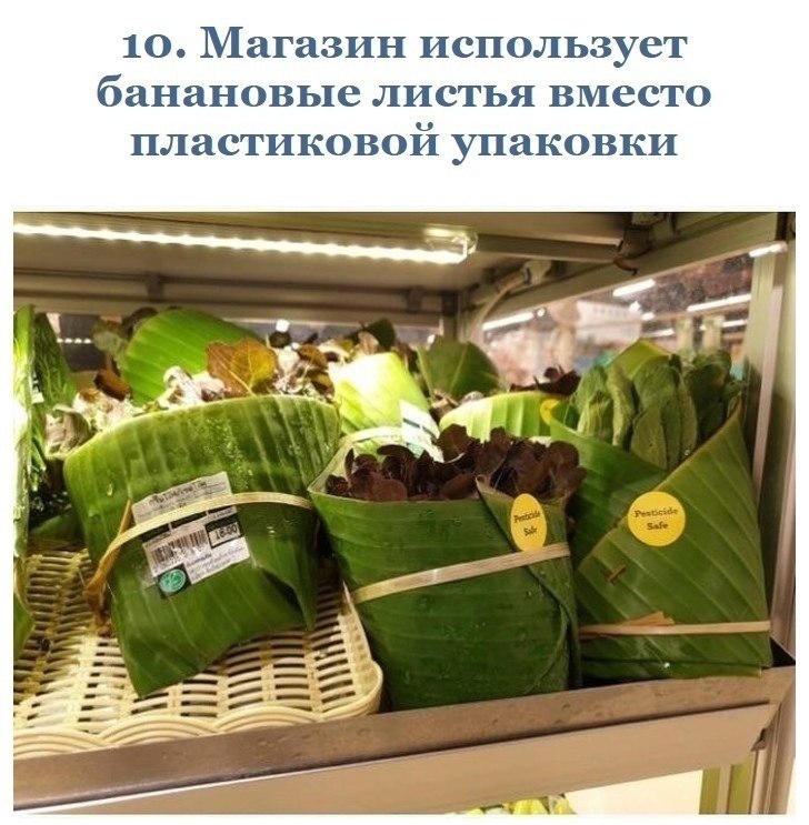 10 a ee, oope ea epaoe , o coxpa aey - 10