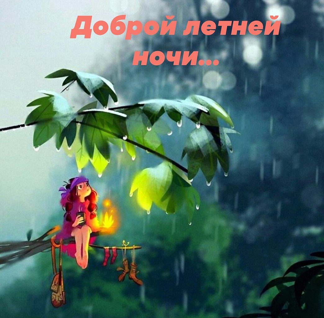   ,    . - 26  2021  21:45