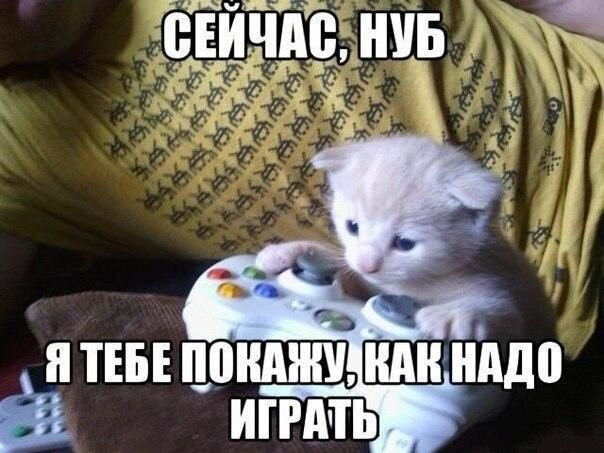    - 11  2021  07:35