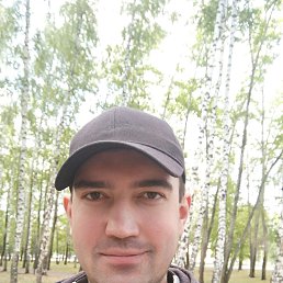 , 37, 