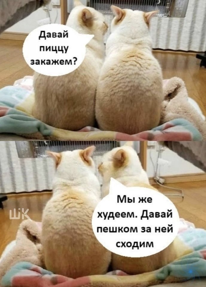   :       120  ...
