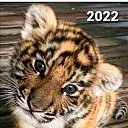  , , 55  -  10  2022    