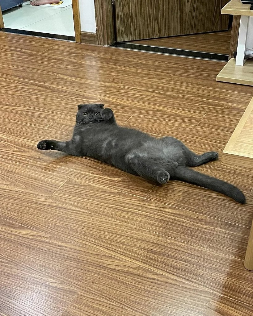   ,  ,     !!!