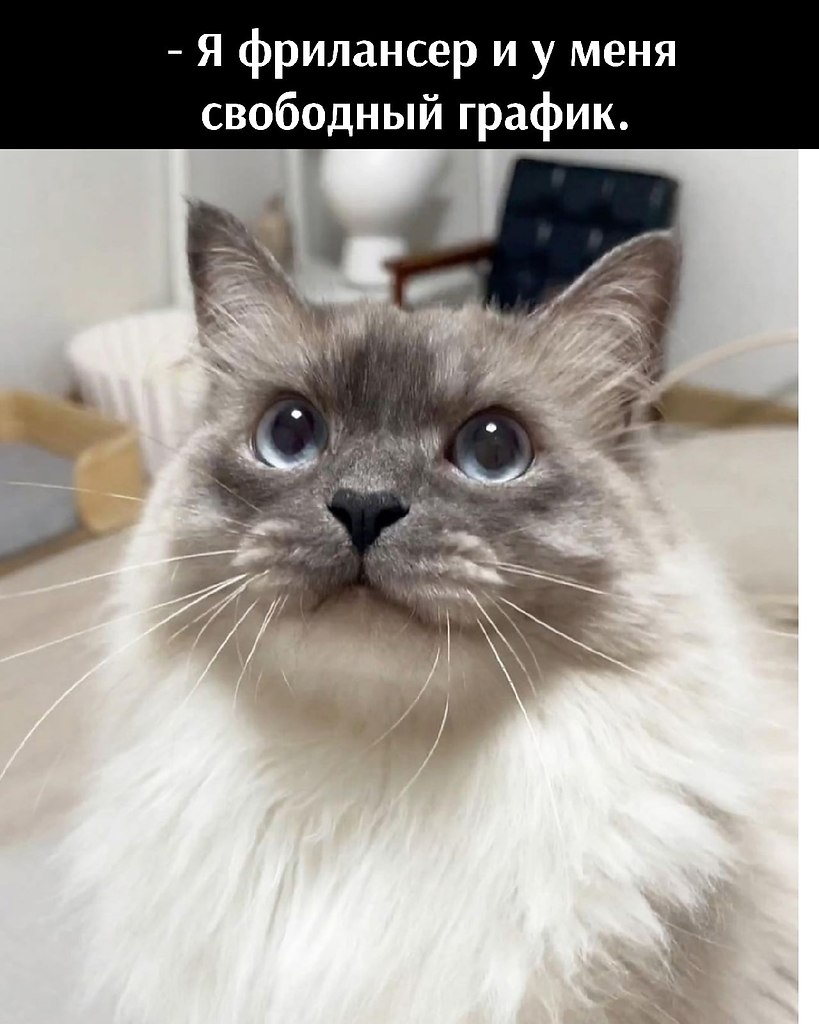 -       . - , !       ? - ...