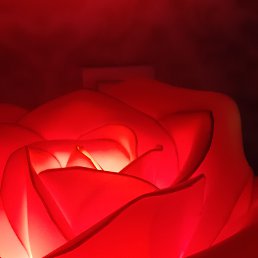 �������, ������, 40 ���