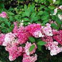 ���� ����, �������, 70 ��� - ��������� 29 ������ 2021 � ������ ���� ����������