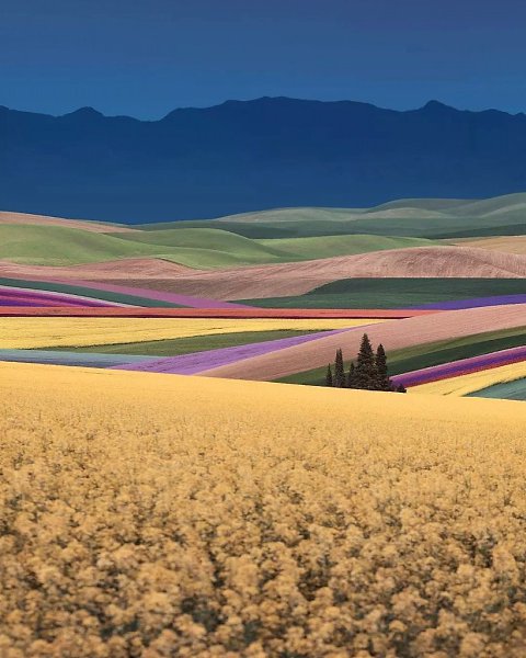 o.ae pe o #art #travel #world