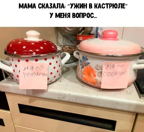 Порой домашние путали кастрюльки, т. к. из собачьей кастрюльки так же аппетитно пахло, как из ...