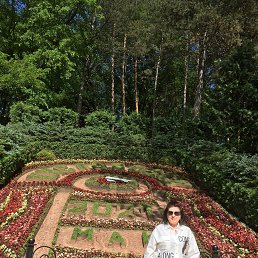 �������, �����, 72 ����