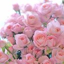 ���� �����, ������������ - ��������� 5 ���� 2021 � ������ ���� ����������