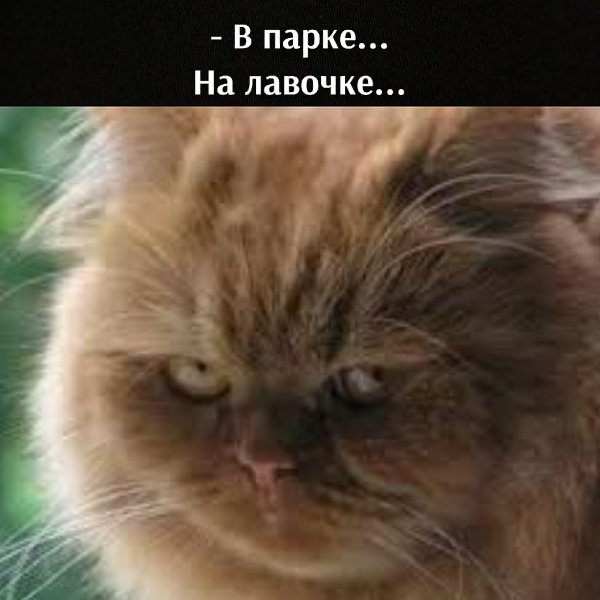       - 13  2021  11:52 - 2