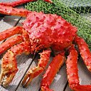 ���� ����, ���������, 42 ���� - ��������� 19 ������� 2021 � ������ ���� ����������