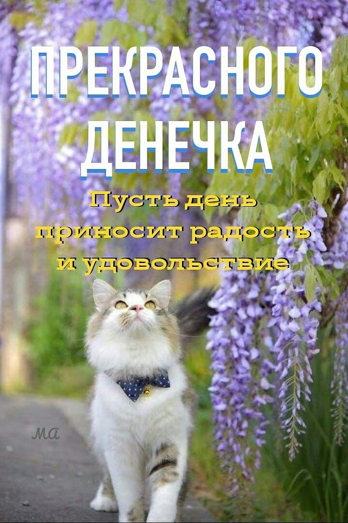   ,    . - 20  2021  00:01 - 10