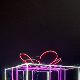 �������, ������, 40 ���