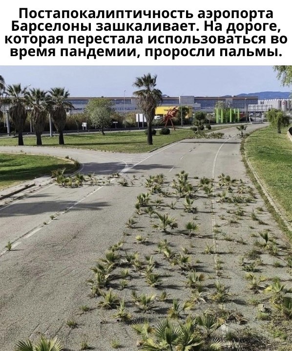   !