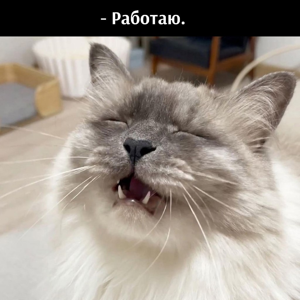 -       . - , !       ? - ... - 3