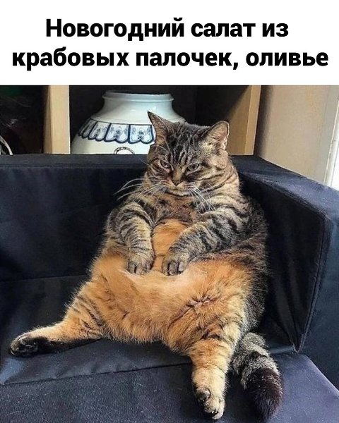 � ���� ������ ���� �������! ������� - 2
