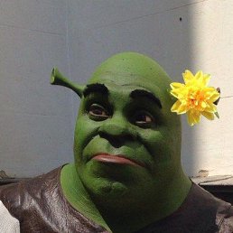 ������, ��������, 48 ���