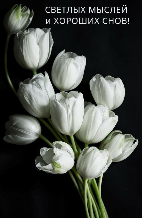   ,    . - 18  2021  22:32 - 8