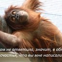 ���� &V&, ����� - ��������� 20 ���� 2021
