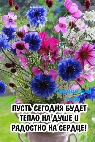   ,    . - 20  2021  00:01 - 3