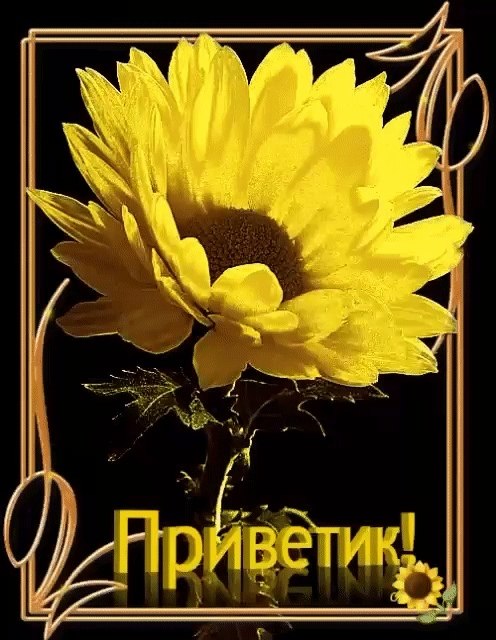  ,    . - 22  2021  11:57