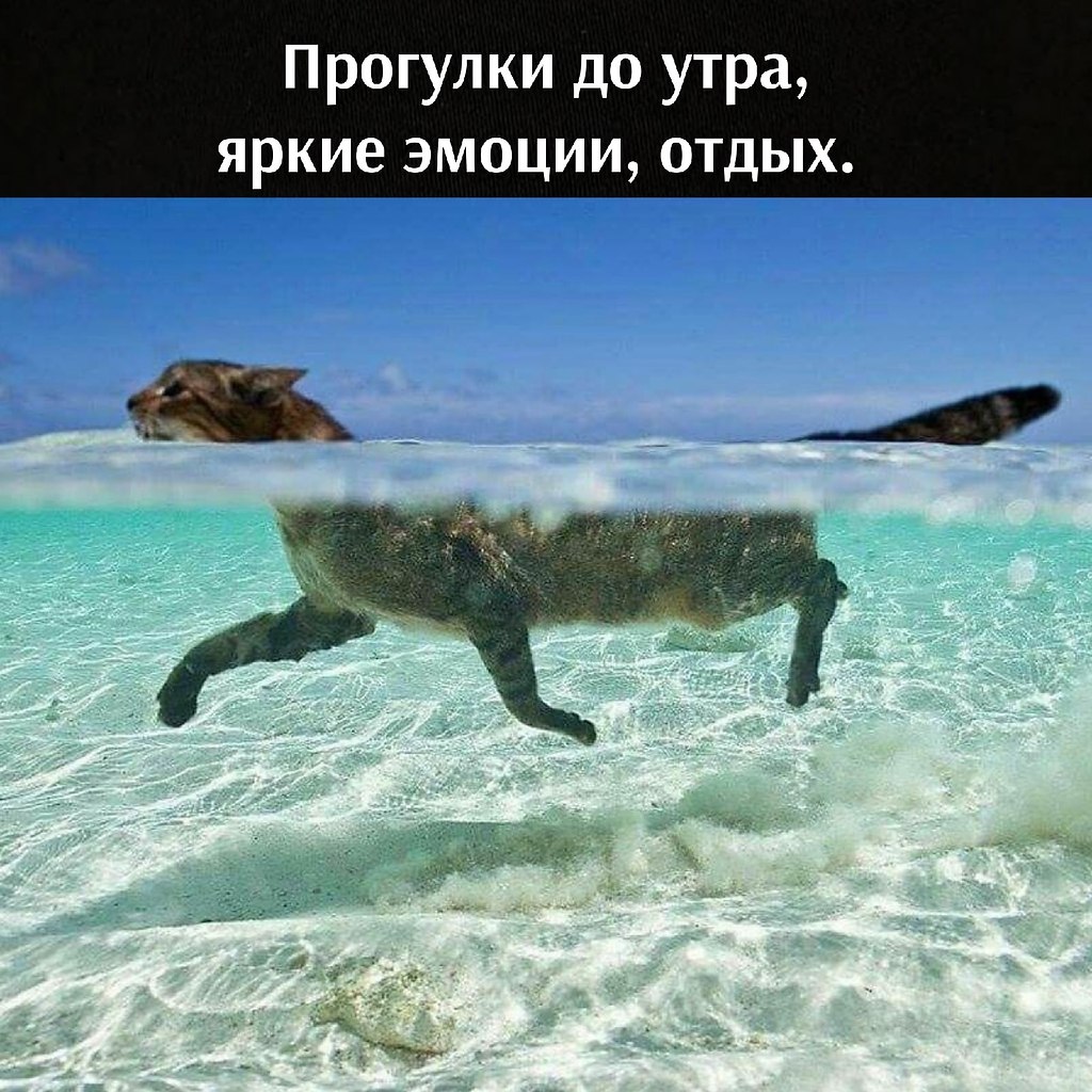       - 13  2021  14:08 - 2