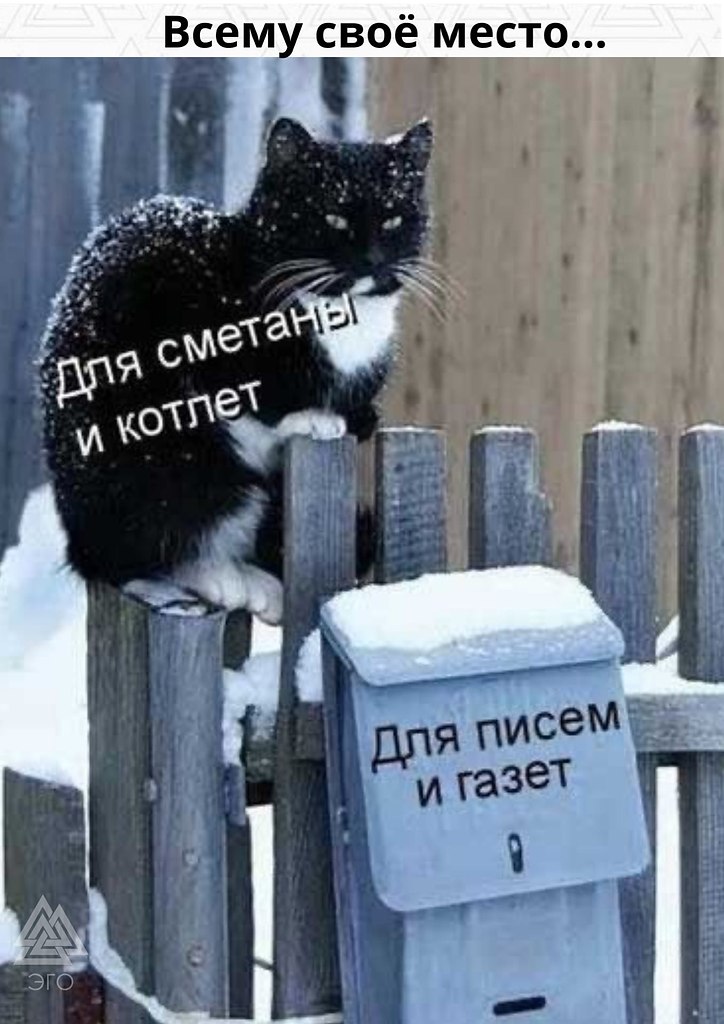   ,   :)
