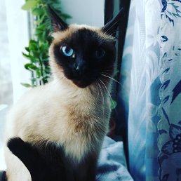 ����, ������, 24 ����