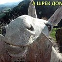 ���� �������, ������ - ��������� 11 ������ 2021 � ������ ���� ����������