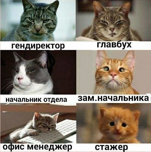    )))