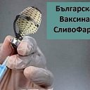 ���� Gari-bolgaria - Usa., ��������� - ��������� 2 �������� 2021 � ������ �maia prelect�