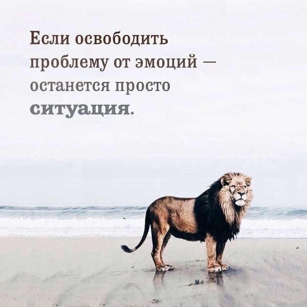 Красота — это внешность, фото — искусство, а главное в жизни — доброе сердце, характер и чувства