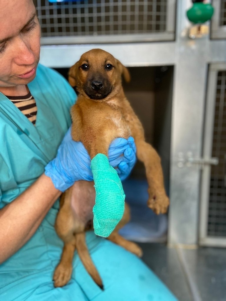 #__.   !     -:    ... - 3