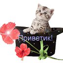 ���� �������, ������� - ��������� 31 ����� 2021 � ������ ������