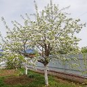 ���� ��������, ������, 60 ��� - ��������� 26 ��� 2021