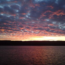 ���� �����, ��������� - ��������� 14 ������ 2022