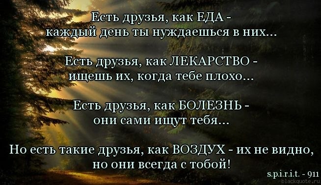 Никогда не меняйте друзей. Их нельзя разменять как монету. Вы поймёте это поздней — Ближе друга на ...