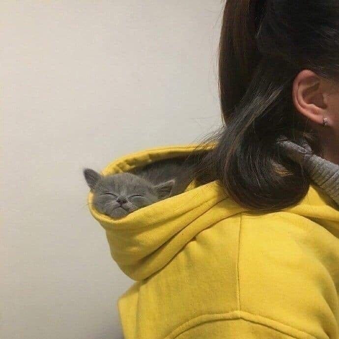         -      !  - 2