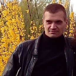 ������, �������, 48 ���