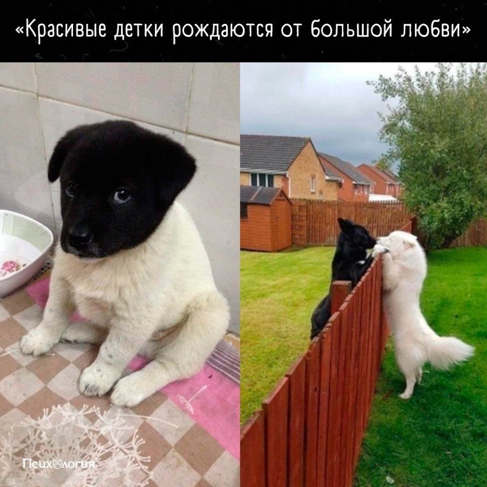       ..