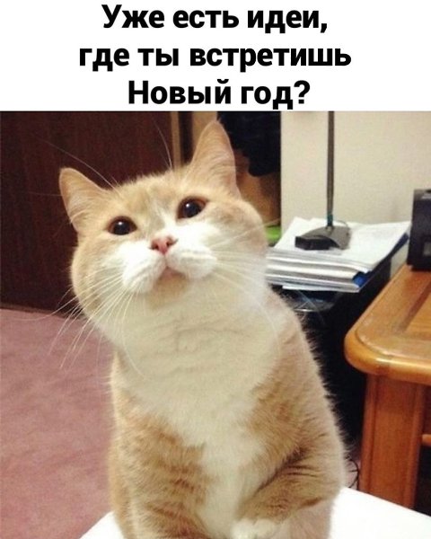 С годами понимаешь, что встречать праздник дома - гораздо лучше.Шальная государыня