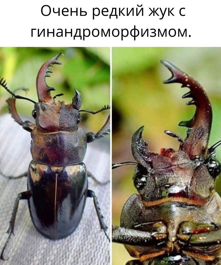 e     ,    .