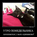 ���� Julia, �������� - ��������� 26 ������� 2021 � ������ ������ ��������