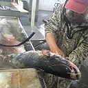 ���� �����, ������, 58 ��� - ��������� 8 ���� 2021