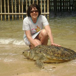 ���� ����, �������� - ��������� 22 ������ 2022